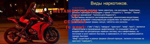 крисы Пересвет