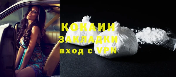 крисы Пересвет