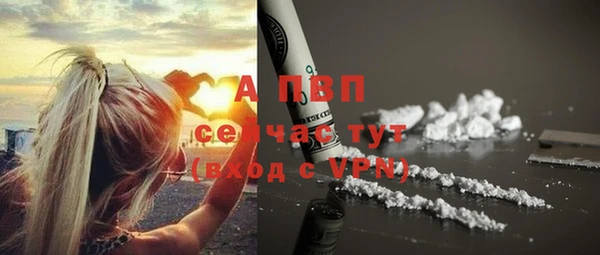 хмурый Пестово
