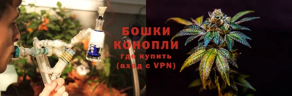 крисы Пересвет