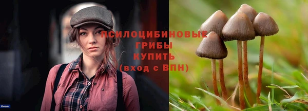 тгк Переславль-Залесский