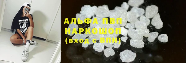 хмурый Пестово