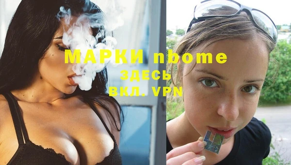 хмурый Пестово