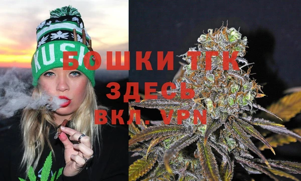 хмурый Пестово