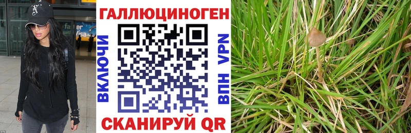 что такое наркотик  гидра ссылка  Галлюциногенные грибы Cubensis  Ряжск 
